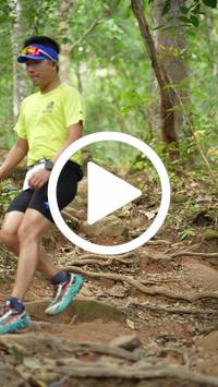 BIB:  <button type="button" onclick="openModal(27586498)" class="btn btn-primary btn-sm float-right" data-toggle="modal" data-target=".modal-high-quality">
                <i class="fa fa-download"></i> Download
                </button>